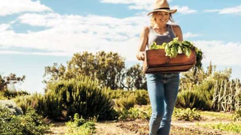 Fight Inflammation with Helpful Heirlooms
